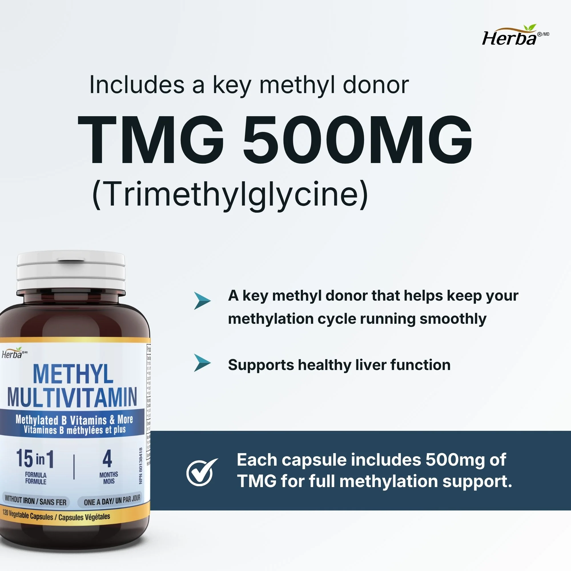 Methylated Multivitamin with TMG & Full Methylated B Complex - 120 Capsules | 15 in 1 Formula | Made in Canada - Image 5